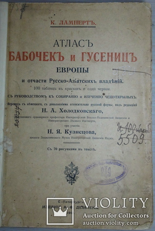 Атлас бабочек и гусениц Европы. Ламперт. СПб: 1913г. Цветные таблицы, фото №3