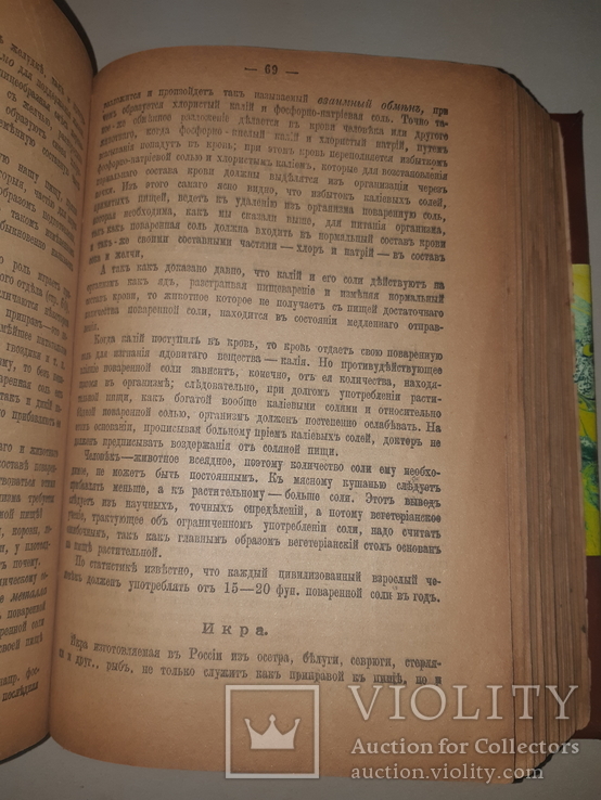 1899 Школа поварского и кондитерского искусства, фото №3