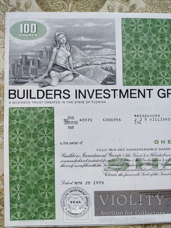 США акции, BUILDERS INVESTMENT GROUP 1973р №36, numer zdjęcia 5