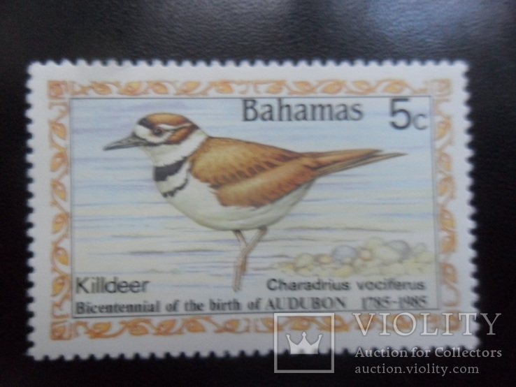 Фауна. Птицы. Багамские острова.  марка MNH