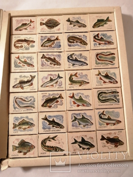 Спички набор Речные и озерные рыбы, фото №6
