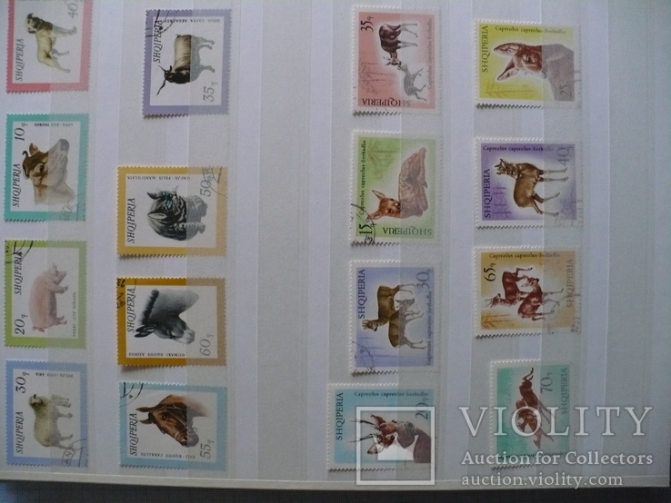 Марки флора и фауна стран мира(220 марок и 8 бл.), фото №8