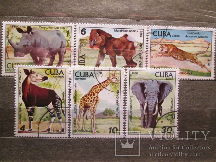 Куба 1978 год Животные в зоопарке Гаваны гаш