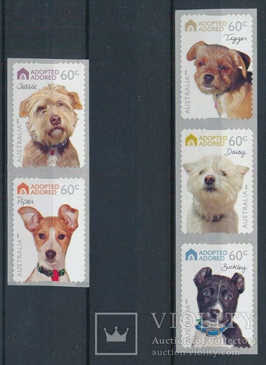 Австралия собаки марки -наклейки MNH