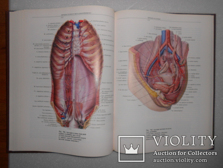 Синельников. Атлас анатомии человека. 1996 г. Том 3 и 4, фото №8