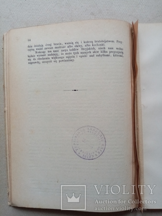 Исследование археологическое 1879 год, фото №6