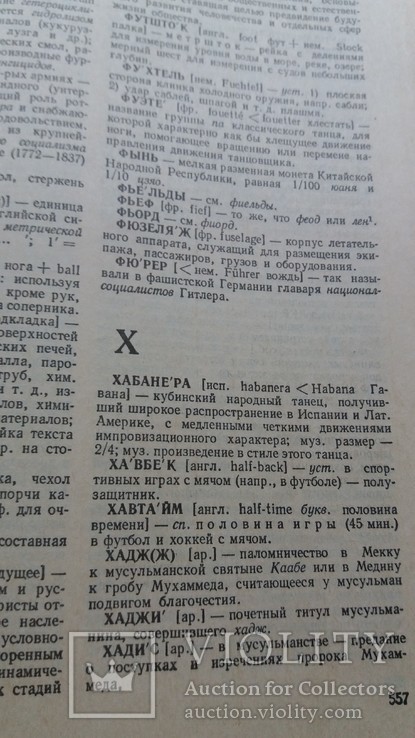 Словарь иностранных слов 1988 г. Москва *Русский язык*, фото №8