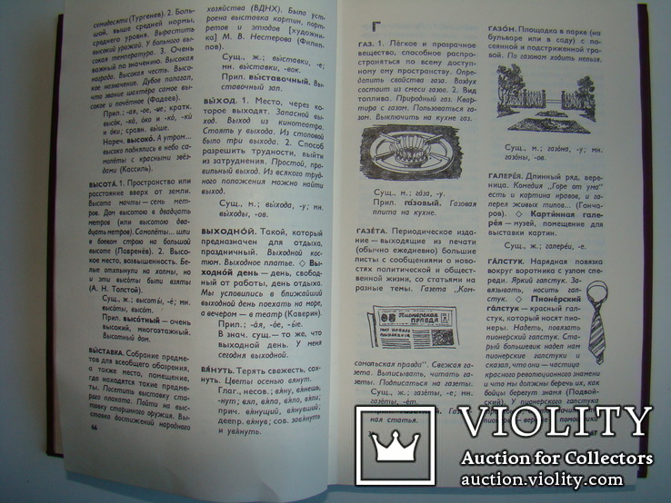 Толковый словарь русского языка. В.Г.Бирюков. 1982., фото №6