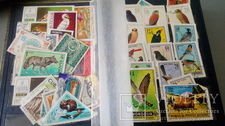 Коллекция марок, фото №2