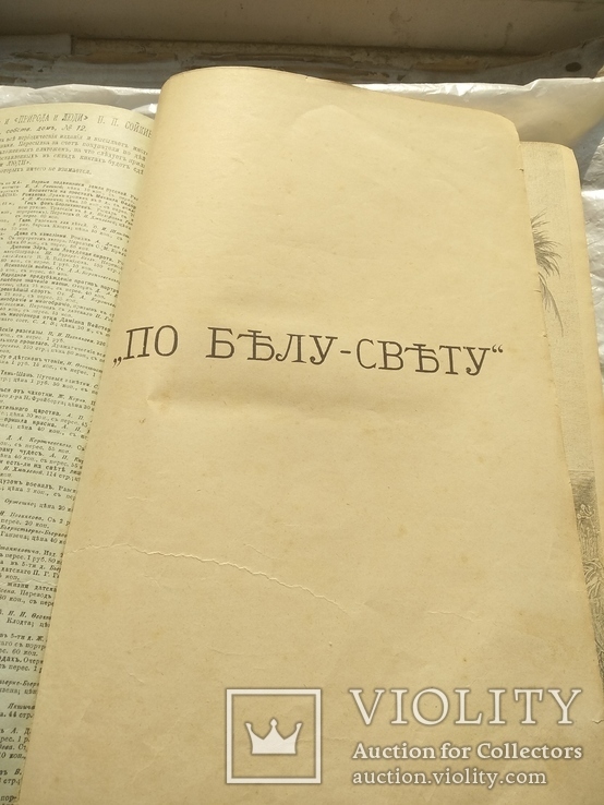 Книга 1893 года выпуска , автор Доктора Елисеева " По белу свету ", фото №11