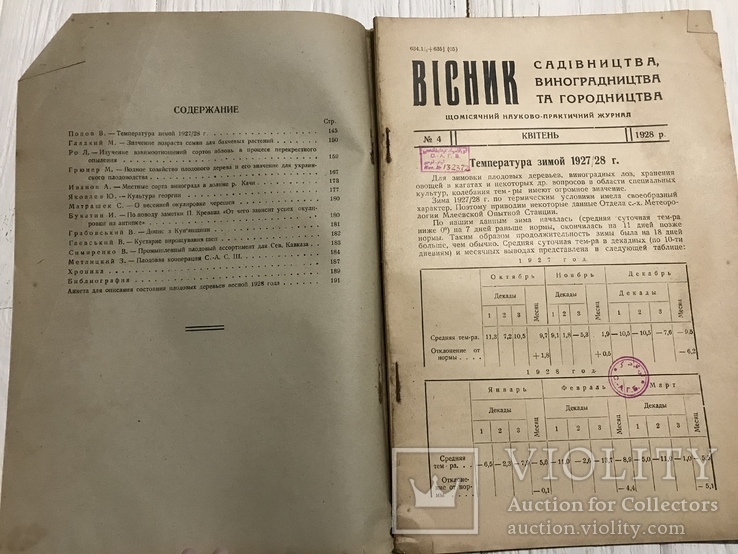 1928 Сорта винограда в долине р. Качи, Вісник садівництва, виноградарства, фото №4