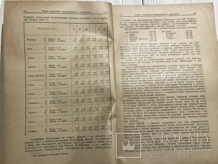 1928 Сорта винограда в долине р. Качи, Вісник садівництва, виноградарства, фото №5