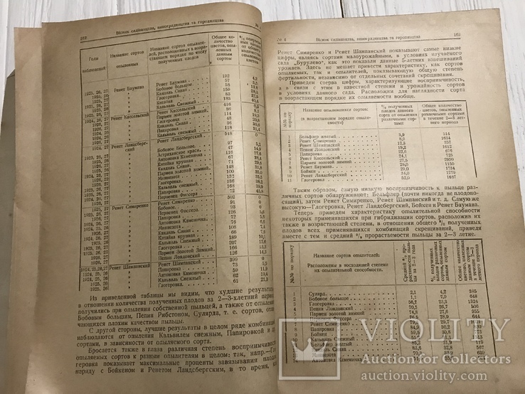 1928 Сорта винограда в долине р. Качи, Вісник садівництва, виноградарства, фото №7