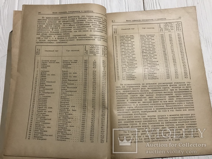 1928 Сорта винограда в долине р. Качи, Вісник садівництва, виноградарства, фото №8