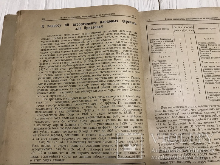 1928 Пчёлы в садоводстве, Вісник садівництва, виноградарства, фото №6