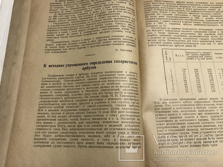 1928 Пчёлы в садоводстве, Вісник садівництва, виноградарства, фото №8