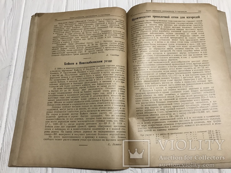 1928 Пчёлы в садоводстве, Вісник садівництва, виноградарства, фото №9