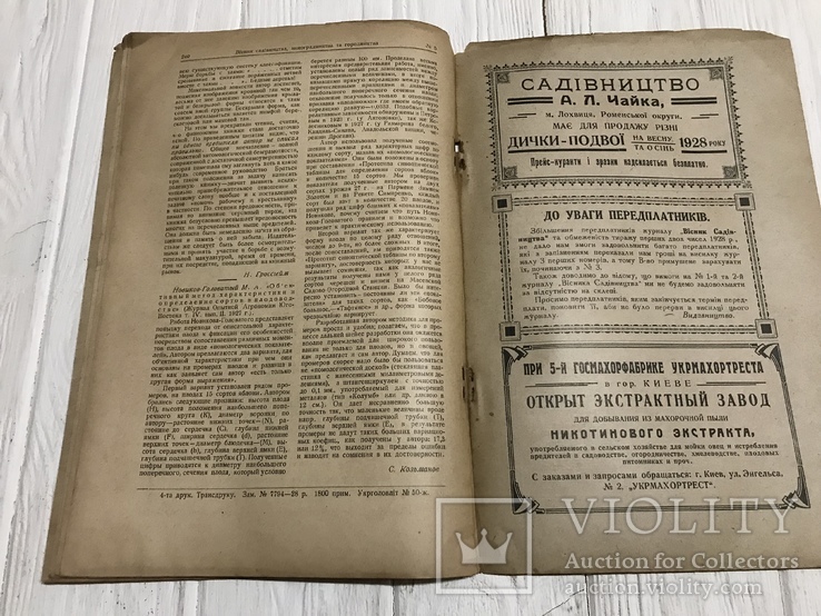 1928 Пчёлы в садоводстве, Вісник садівництва, виноградарства, фото №10