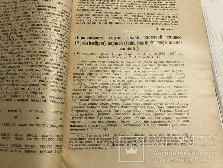 1928 Гибриды прямых производителей в Одесском округе, Вісник садівництва, фото №7
