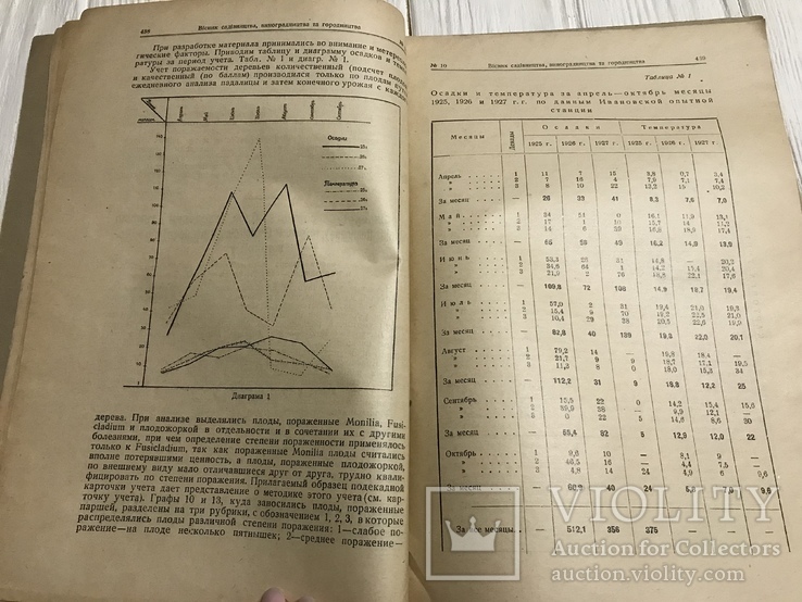 1928 Гибриды прямых производителей в Одесском округе, Вісник садівництва, фото №8