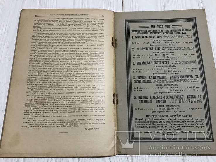 1928 Гибриды прямых производителей в Одесском округе, Вісник садівництва, фото №10