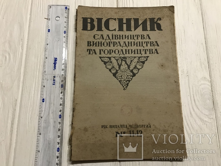 1929 Групповые сады на Херсонщине, Вісник садівництва, виноградарства, фото №3