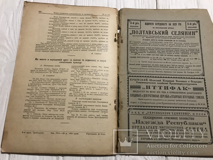 1929 Групповые сады на Херсонщине, Вісник садівництва, виноградарства, фото №5