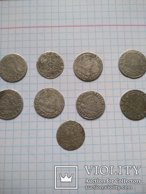 Монеты Сигизмунда 3 (111), фото №9