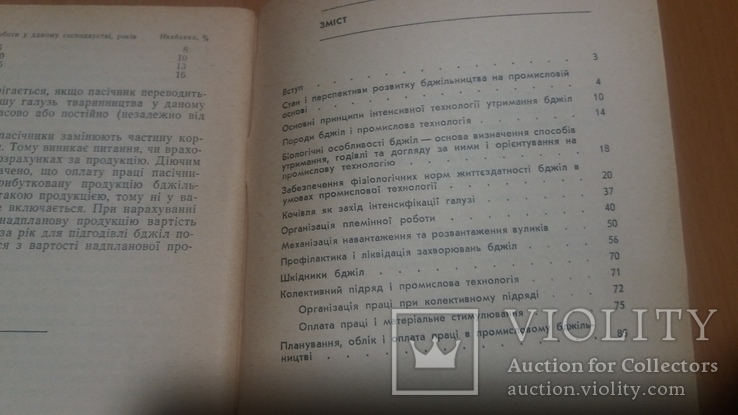 Промислова технологія бджільництва, фото №6