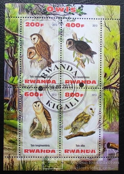 Африка Руанда Фауна Птицы гаш.