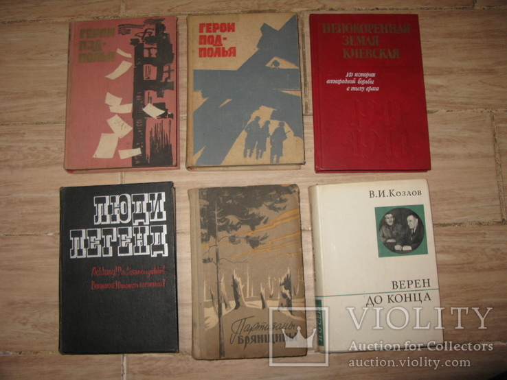Великая Отечественная война. Партизаны и подполье 7 книг, фото №3