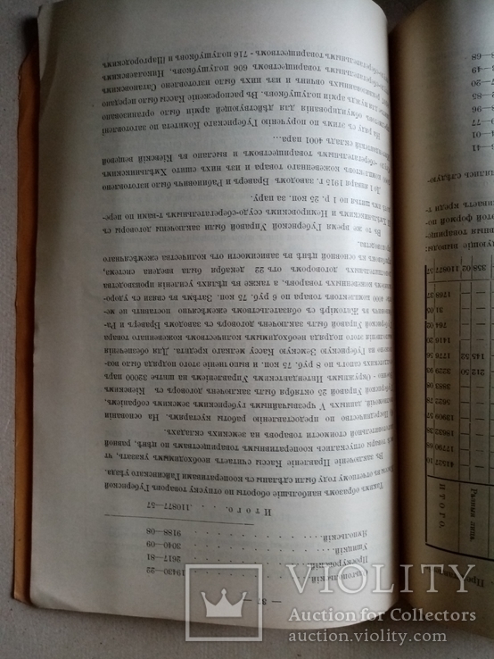 Доклады подольской губернской земской управы 1915 год, фото №4