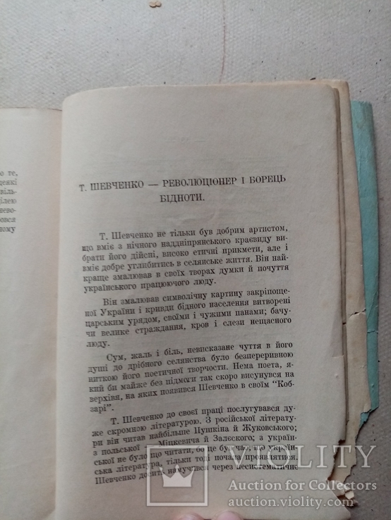 Хто такий Шевченко, фото №6