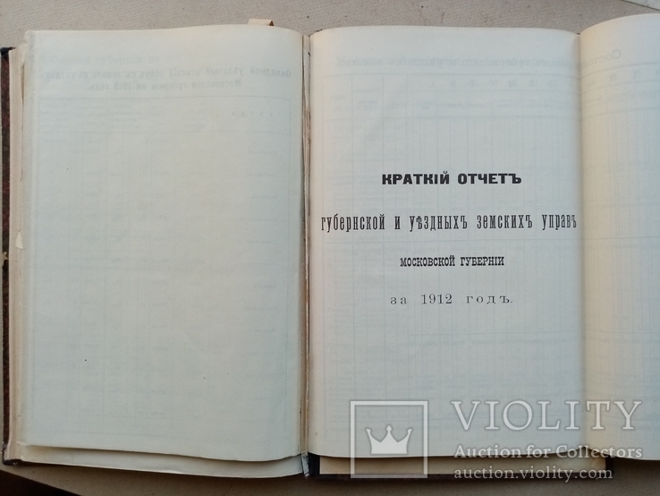 Статистический ежегодник Московской Губернии за 1913 год., фото №11