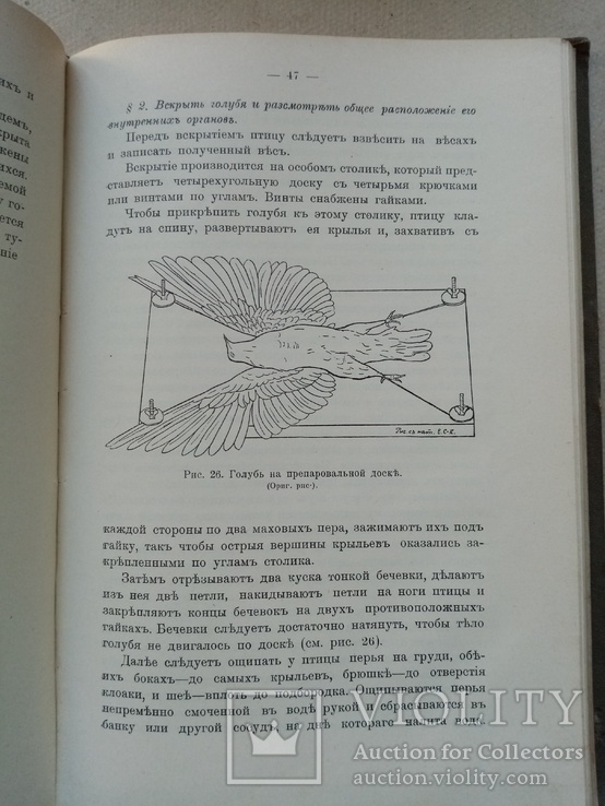 Практические занятия по  Зоологии 1910 год, фото №9