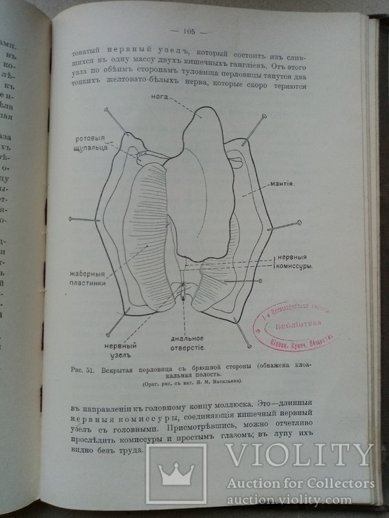 Практические занятия по  Зоологии 1910 год, фото №11