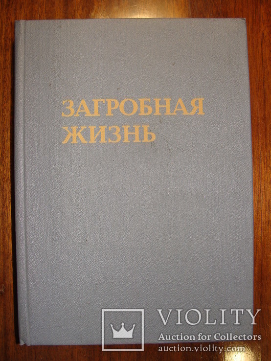 Загробная жизнь (книга), фото №2