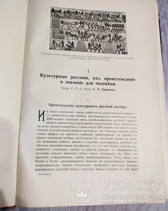 Книга "Итоги науки"1912год, фото №6