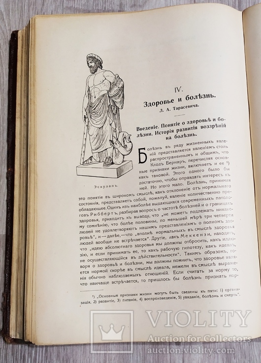 Книга "Итоги науки"1912год, фото №10