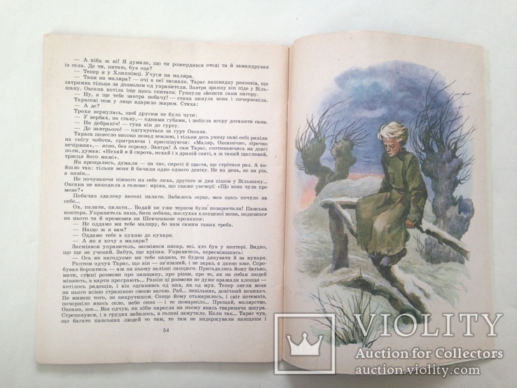 В бурьянах С. Васильченко Худ. Л. Ильчинская 1989 56 с. На украинском языке. Бол. формат., фото №12