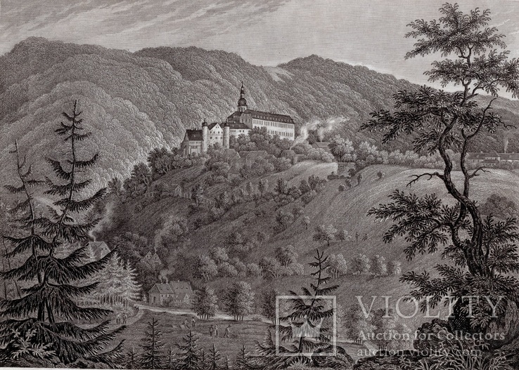 Старинная гравюра. 1850 год. Шварцбург. (26,2х18,2см.).