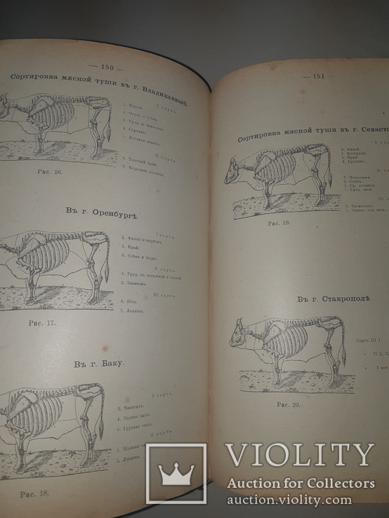 1909 Руководство к осмотру мяса и устройству боень в 3 выпусках, фото №3