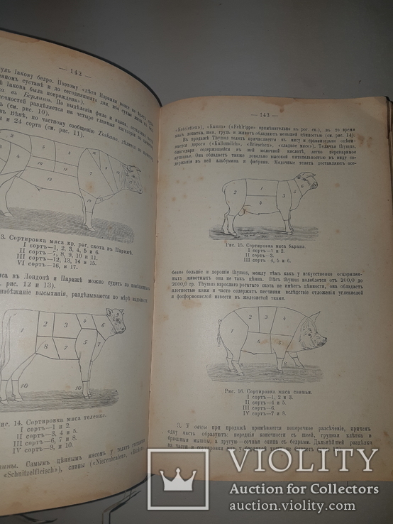 1909 Руководство к осмотру мяса и устройству боень в 3 выпусках, фото №5
