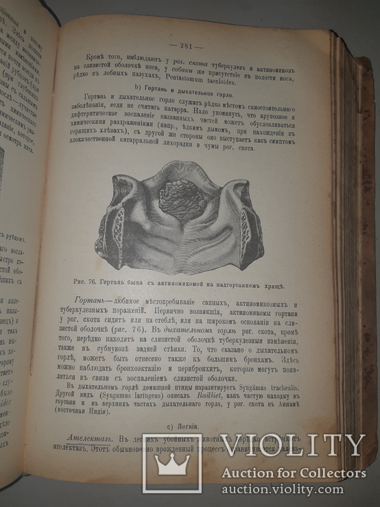 1909 Руководство к осмотру мяса и устройству боень в 3 выпусках, фото №6