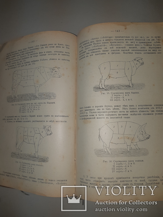 1909 Руководство к осмотру мяса и устройству боень в 3 выпусках, фото №8