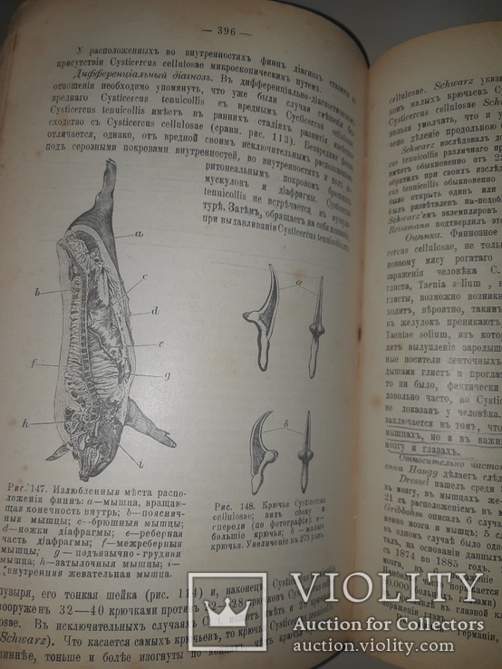 1909 Руководство к осмотру мяса и устройству боень в 3 выпусках, фото №9