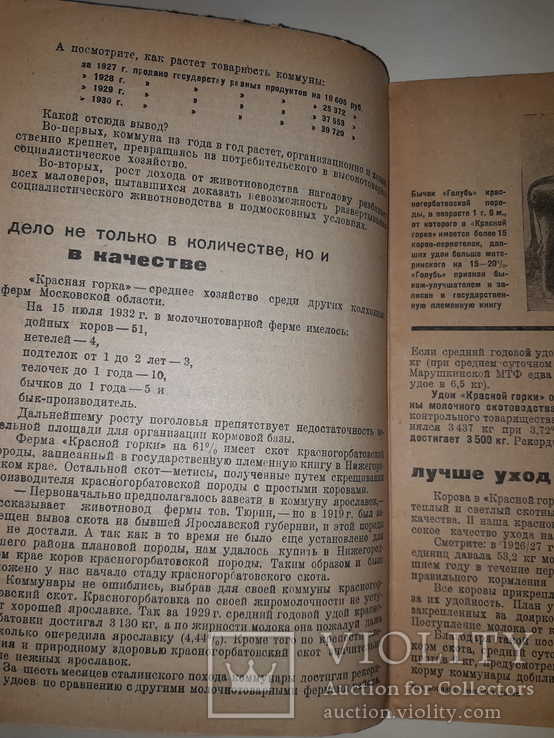 1933 Как комунары добились высоких удоев, фото №7