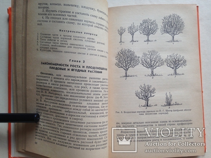 Садоводство и цветоводство 1983 335 с. ил. Учебное пособие., фото №7