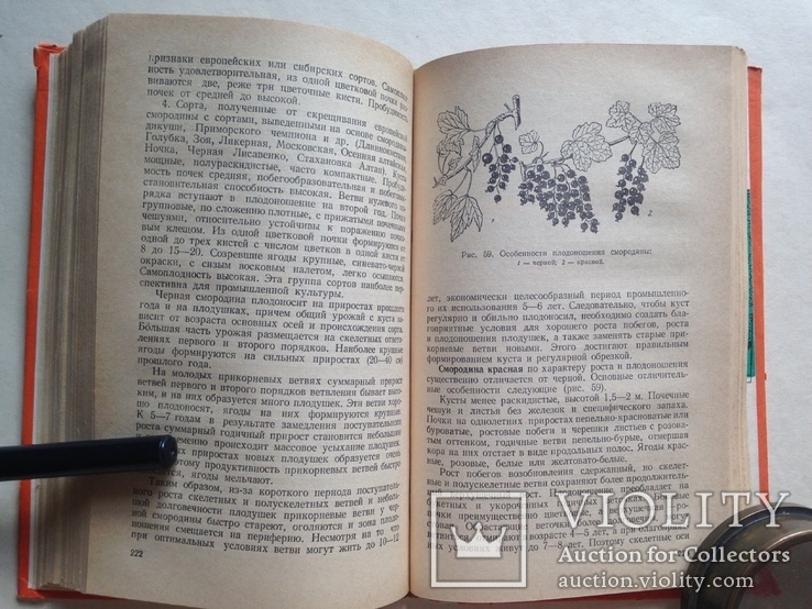 Садоводство и цветоводство 1983 335 с. ил. Учебное пособие., фото №10