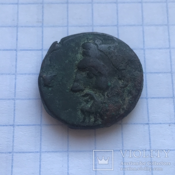 Монета Ольвии, фото №4